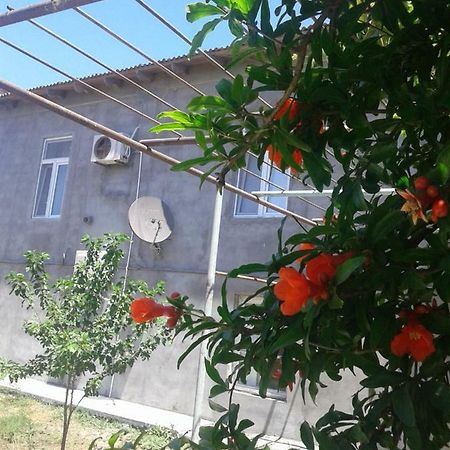 Guest House Near Baku Airport Bakú Exterior foto