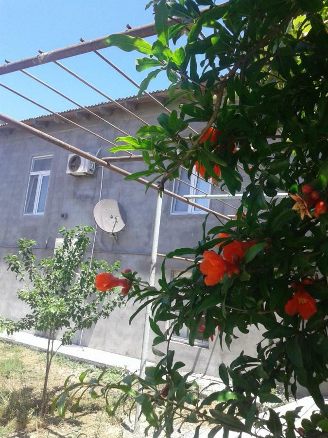 Guest House Near Baku Airport Bakú Exterior foto